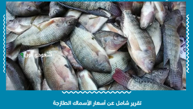تقرير شامل عن أسعار الأسماك الطازجة