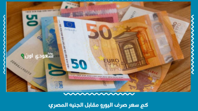 كم سعر صرف اليورو مقابل الجنيه المصري