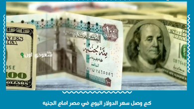 كم وصل سعر الدولار اليوم في مصر امام الجنيه