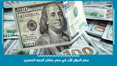 سعر الدولار الآن في مصر مقابل الجنيه المصري