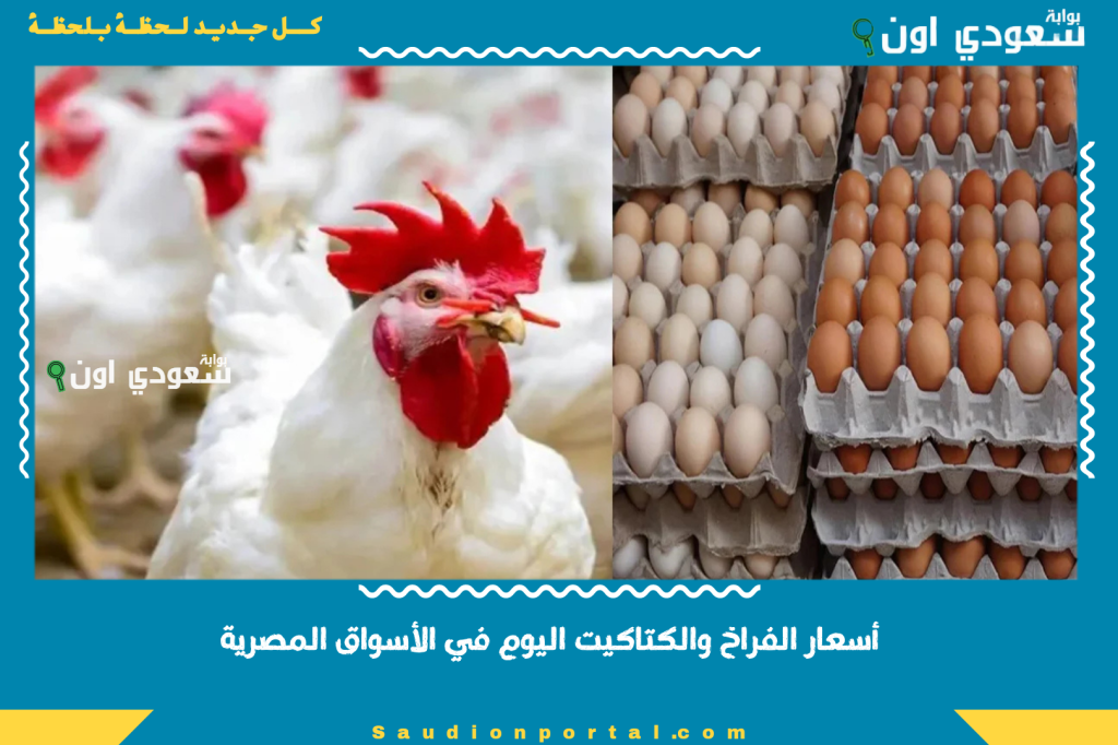أسعار الفراخ والكتاكيت اليوم