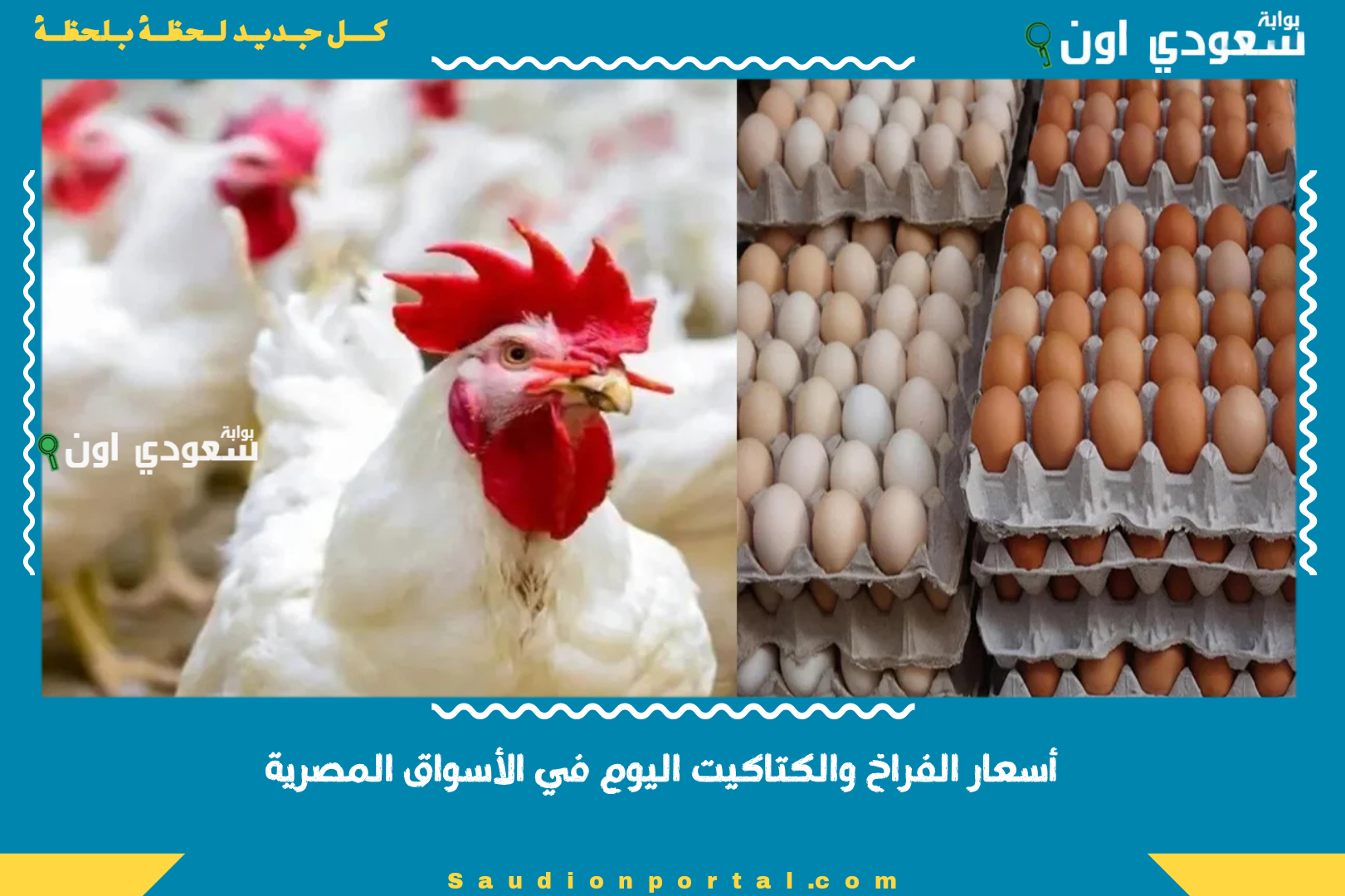 أسعار الفراخ والكتاكيت اليوم في الأسواق المصرية