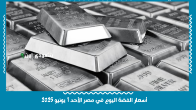 أسعار الفضة اليوم في مصر الأحد 1 يونيو 2025