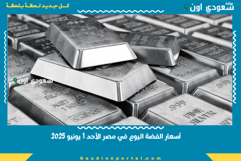 أسعار الفضة اليوم في مصر الأحد 1 يونيو 2025