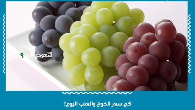كم سعر الخوخ والعنب اليوم؟