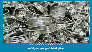 أسعار الفضة اليوم في مصر الاثنين