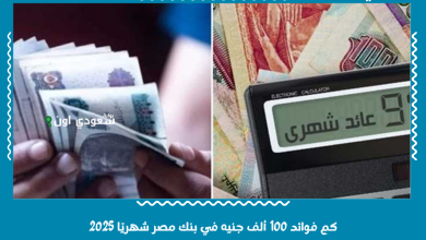 كم فوائد 100 ألف جنيه في بنك مصر شهريًا 2025