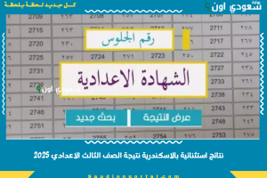 نتائج استثنائية بالاسكندرية نتيجة الصف الثالث الاعدادي 2025