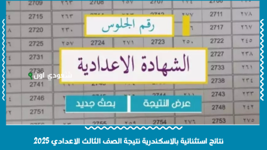 نتائج استثنائية بالاسكندرية نتيجة الصف الثالث الاعدادي 2025