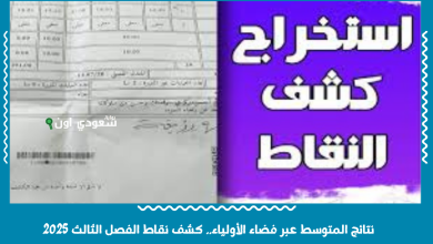 نتائج المتوسط عبر فضاء الأولياء.. كشف نقاط الفصل الثالث 2025