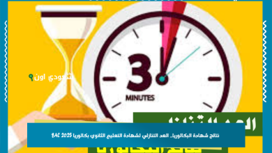 نتائج شهادة البكالوريا.. العد التنازلي لشهادة التعليم الثانوي بكالوريا 2025 BAC