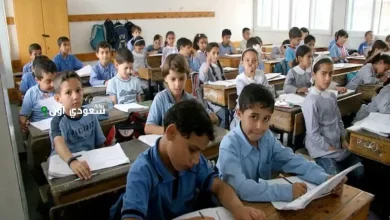 نتيجة أولى وتانية ابتدائي الترم الثاني