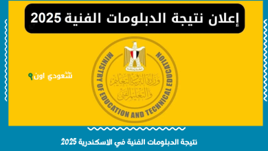 نتيجة الدبلومات الفنية في الاسكندرية 2025