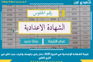نتيجة الشهادة الإعدادية في الجيزة 2025 دخل رقم جلوسك واعرف جبت كام في الترم التاني
