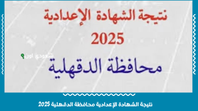 نتيجة الشهادة الإعدادية محافظة الدقهلية 2025