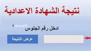 نتيجة الشهادة الاعدادية محافظة الاقصر 2025 نتيجة الصف الثالث الاعدادي