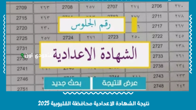 نتيجة الشهادة الاعدادية محافظة القليوبية 2025