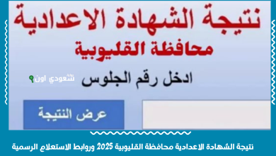 نتيجة الشهادة الاعدادية محافظة القليوبية 2025 وروابط الاستعلام الرسمية