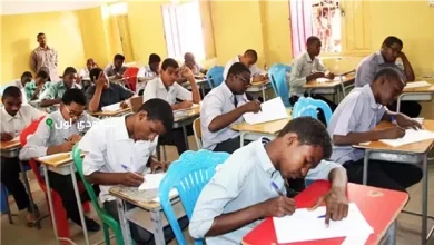 نتيجة الشهادة السودانية 2025