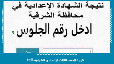 نتيجة الصف الثالث الاعدادي الشرقية 2025