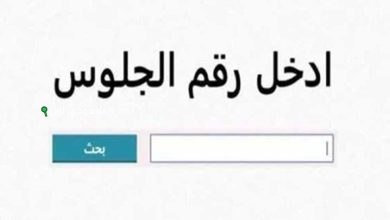 نتيجة الصف الثالث الاعدادي بالبحيرة 2025 وطريقة معرفة النتيجة خطوة بخطوة