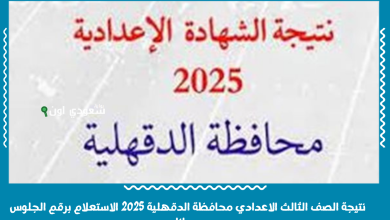 نتيجة الصف الثالث الاعدادي محافظة الدقهلية 2025 الاستعلام برقم الجلوس مجانا