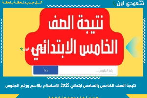 نتيجة الصف الخامس والسادس ابتدائي 2025 الاستعلام بالاسم ورقم الجلوس