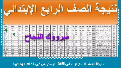 نتيجة الصف الرابع الابتدائي 2025 بالاسم بس في القاهرة والجيزة