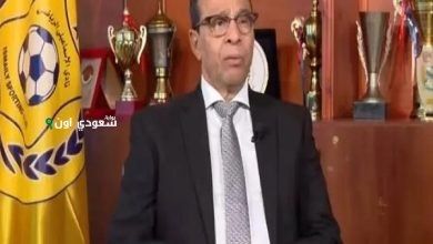 نصر أبو الحسن