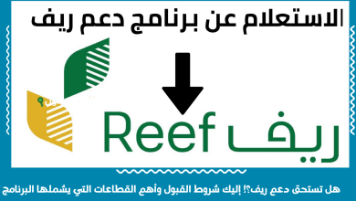 هل تستحق دعم ريف؟! إليك شروط القبول وأهم القطاعات التي يشملها البرنامج