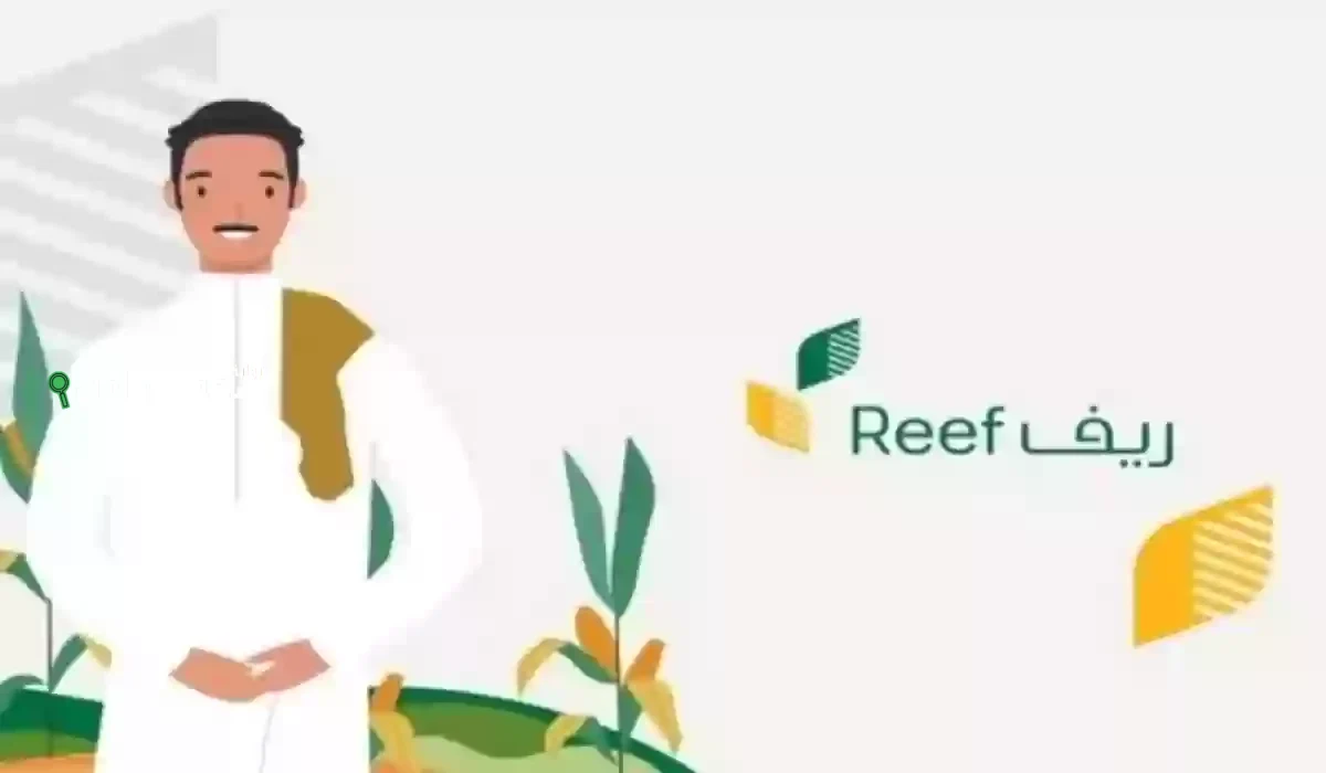 هل تستحق دعم ريف؟! إليك شروط القبول وأهم القطاعات التي يشملها البرنامج