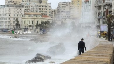 هيئة الأرصاد الجوية المصرية