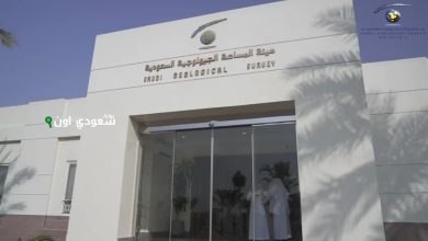 هيئة المساحة الجيولوجية