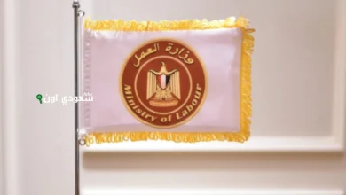 وزارة العمل تطرح فرص جديدة للشباب في إحدى شركات التجارة والاستيراد
