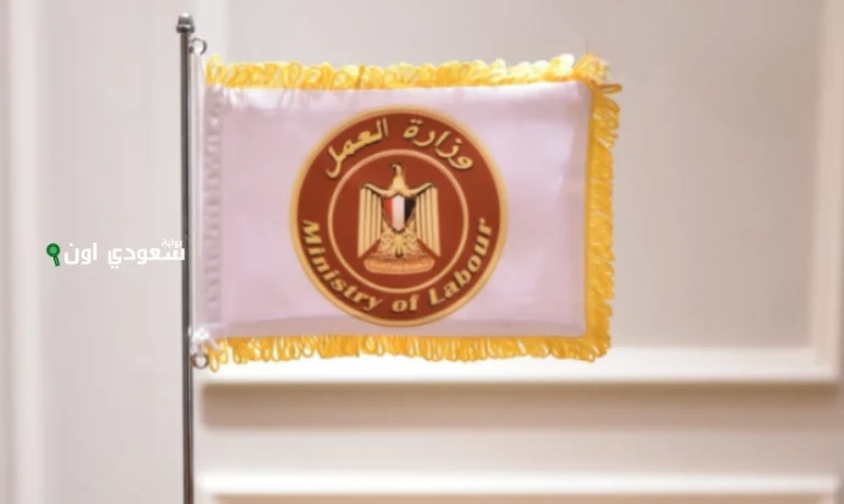 وزارة العمل تطرح فرص جديدة للشباب في إحدى شركات التجارة والاستيراد