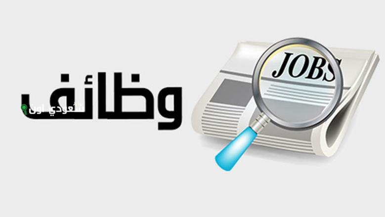 وزارة العمل تطرح فرص جديدة للشباب في إحدى شركات التجارة والاستيراد