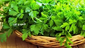وصفة البقدونس السحرية لتقوية العظام