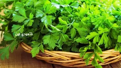 وصفة البقدونس السحرية لتقوية العظام