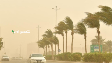 رياح نشطة متوقعة على منطقة تبوك