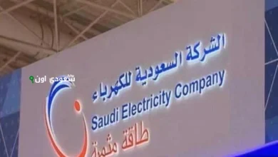 السعودية للكهرباء تتعامل مع انقطاع محدود في العارضة