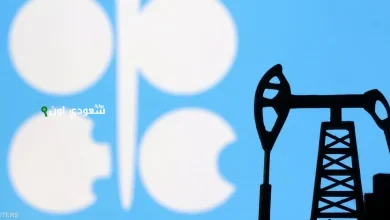 باحث اقتصادي السعودية أعادت تشكيل سوق النفط بقيادة أوبك+