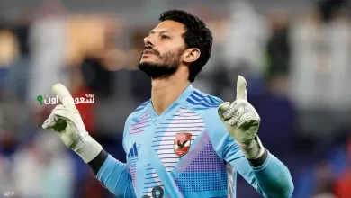 محمد الشناوي حارس مرمى النادي الأهلي