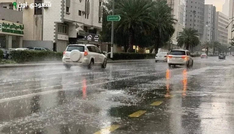 أحوال جوية متقلبة في الشرقية مع أمطار ورياح مثيرة للغبار