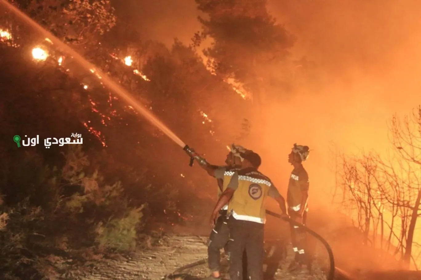 للج للدفع بنجاح ضد حرائق الغابات في اللاذقية