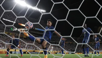 علي لاجامي