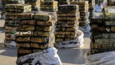 تشديد قبضة القانون يعزز جهود مكافحة تهريب المخدرات وملاحقة المروجين بشكل فعال