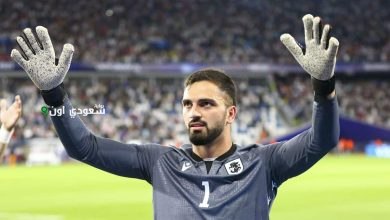 الجورجي جيورجي مامارداشفيلي