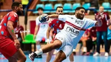 بيجاد مروان