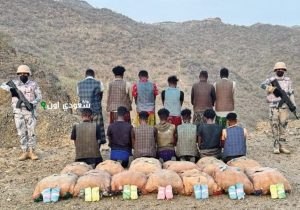 القت القبض على تسعة أشخاص لتهريبهم 320 كيلوغراماً من نبتة القات المخدر