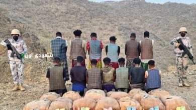 القت القبض على تسعة أشخاص لتهريبهم 320 كيلوغراماً من نبتة القات المخدر